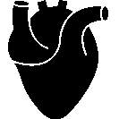 Alt image